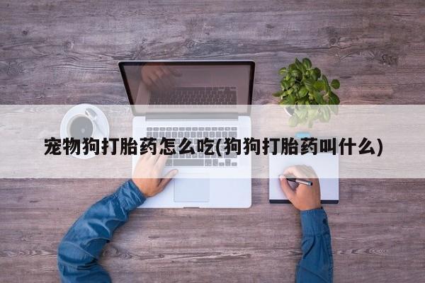 米非米索网上购买宠物狗打胎药怎么吃(狗狗打胎药叫什么)