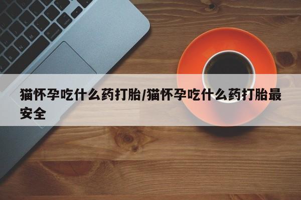 米非米索网上购买猫怀孕吃什么药打胎/猫怀孕吃什么药打胎最安全