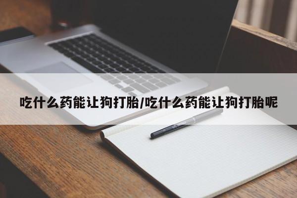 米非米索网上购买吃什么药能让狗打胎/吃什么药能让狗打胎呢