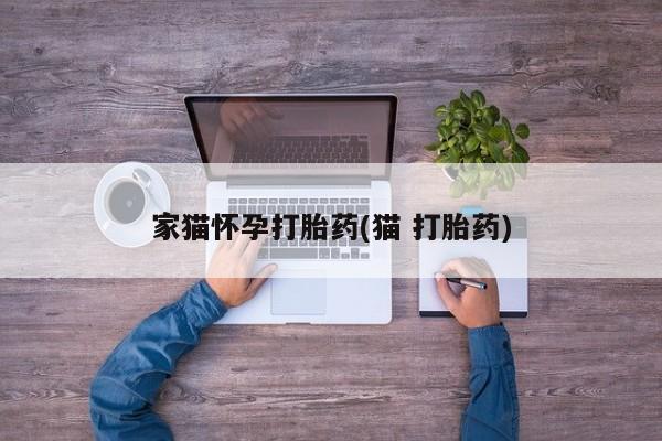 米非米索网上购买家猫怀孕打胎药(猫 打胎药)